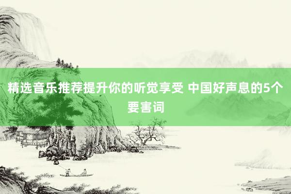 精选音乐推荐提升你的听觉享受 中国好声息的5个要害词