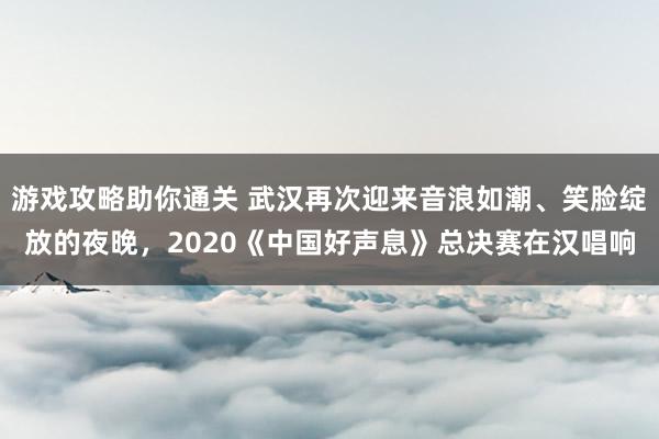 游戏攻略助你通关 武汉再次迎来音浪如潮、笑脸绽放的夜晚，2020《中国好声息》总决赛在汉唱响