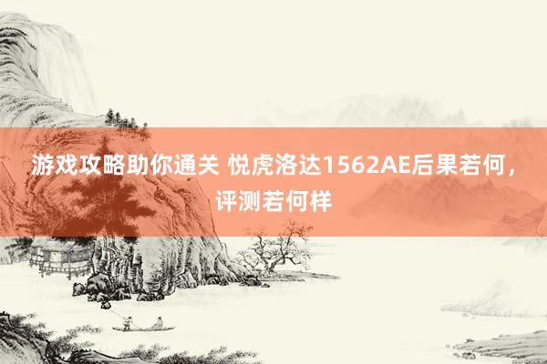 游戏攻略助你通关 悦虎洛达1562AE后果若何，评测若何样