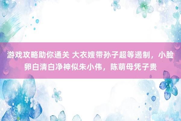 游戏攻略助你通关 大衣嫂带孙子超等遏制，小脸卵白清白净神似朱小伟，陈萌母凭子贵