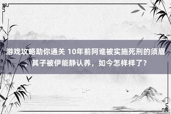 游戏攻略助你通关 10年前阿谁被实施死刑的须眉，其子被伊能静认养，如今怎样样了？