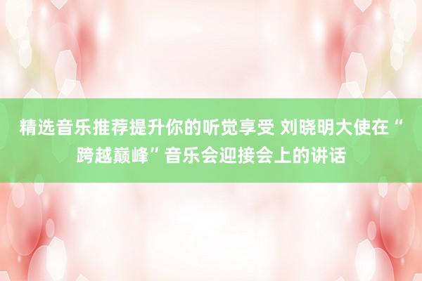 精选音乐推荐提升你的听觉享受 刘晓明大使在“跨越巅峰”音乐会迎接会上的讲话