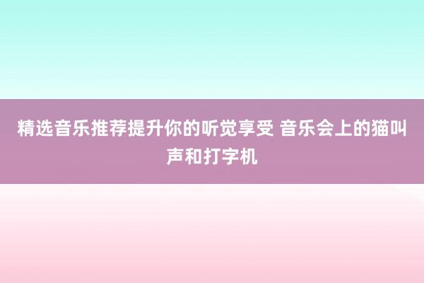 精选音乐推荐提升你的听觉享受 音乐会上的猫叫声和打字机