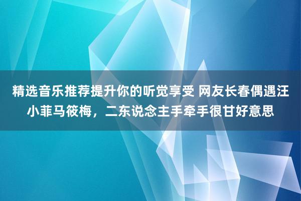 精选音乐推荐提升你的听觉享受 网友长春偶遇汪小菲马筱梅，二东说念主手牵手很甘好意思