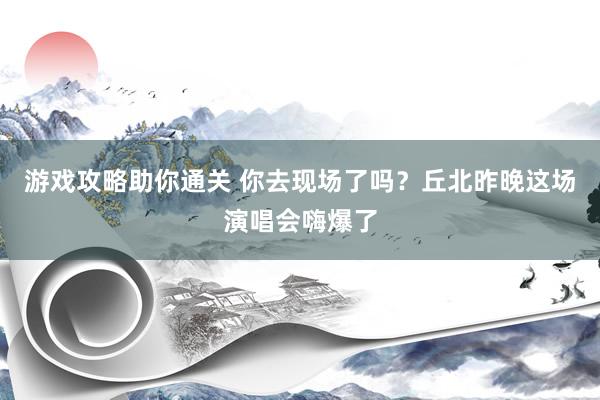 游戏攻略助你通关 你去现场了吗？丘北昨晚这场演唱会嗨爆了