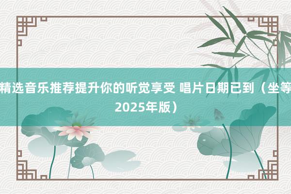 精选音乐推荐提升你的听觉享受 唱片日期已到（坐等2025年版）