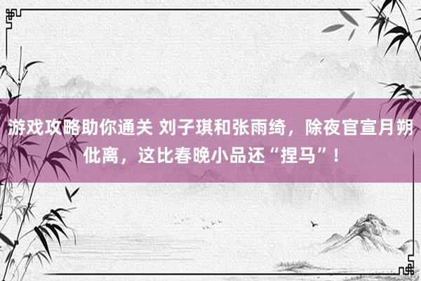 游戏攻略助你通关 刘子琪和张雨绮，除夜官宣月朔仳离，这比春晚小品还“捏马”！