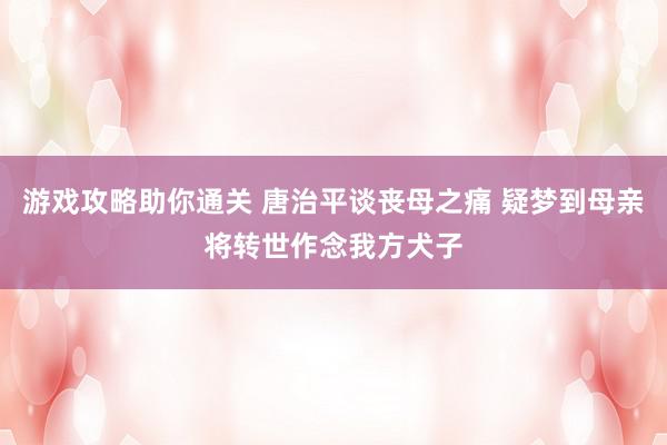 游戏攻略助你通关 唐治平谈丧母之痛 疑梦到母亲将转世作念我方犬子