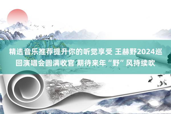 精选音乐推荐提升你的听觉享受 王赫野2024巡回演唱会圆满收官 期待来年“野”风持续吹