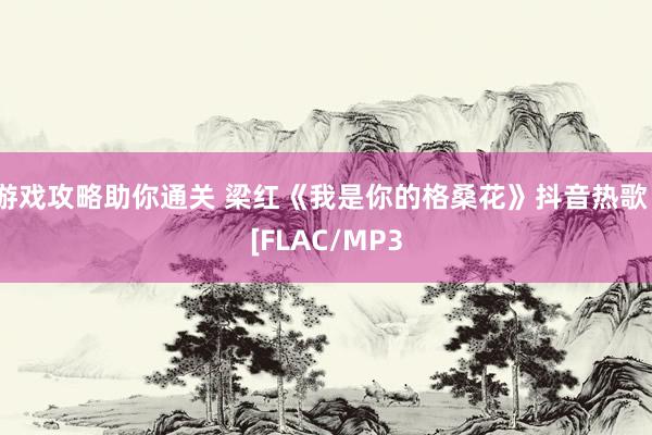 游戏攻略助你通关 梁红《我是你的格桑花》抖音热歌  [FLAC/MP3