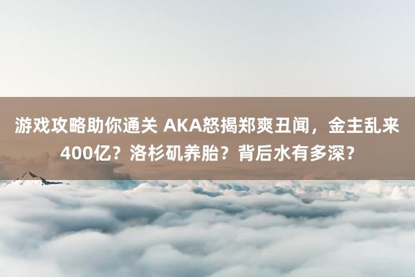 游戏攻略助你通关 AKA怒揭郑爽丑闻，金主乱来400亿？洛杉矶养胎？背后水有多深？