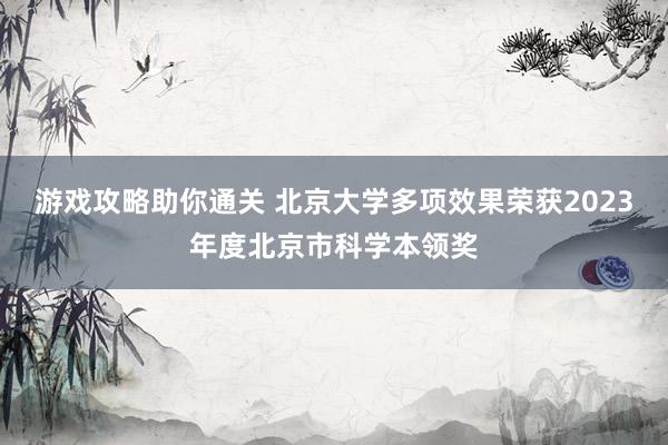 游戏攻略助你通关 北京大学多项效果荣获2023年度北京市科学本领奖